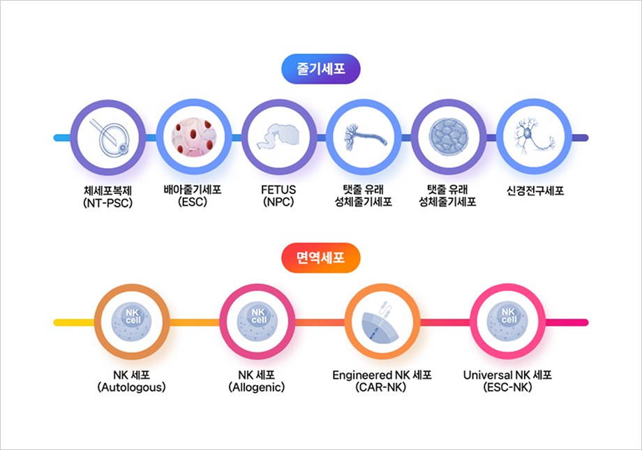핵심기술 이미지